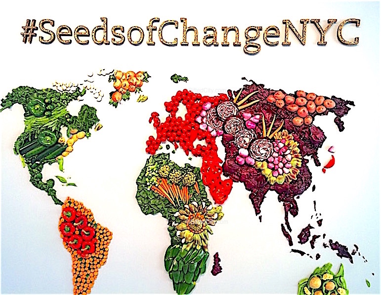 seeds of change 4